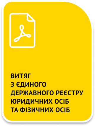 Витяг з Єдиного державного реєструй юридичних осіб та фізичних осіб